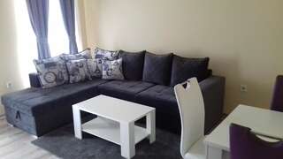 Апартаменты Apartments Delić Никшич Апартаменты с 1 спальней-15