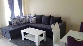 Апартаменты Apartments Delić Никшич Апартаменты с 1 спальней-49