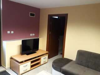 Апартаменты Apartments Delić Никшич Апартаменты с 1 спальней-58