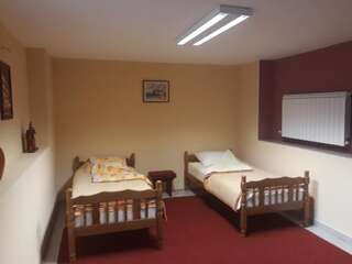 Апартаменты Apartments Delić Никшич Апартаменты с 1 спальней-60